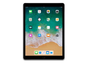 iPad Pro 12.9 inch (WiFi)