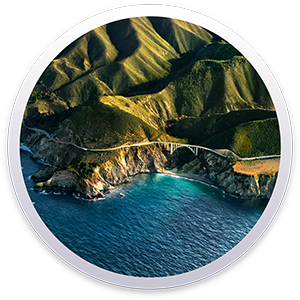 macOS 11.1 RC